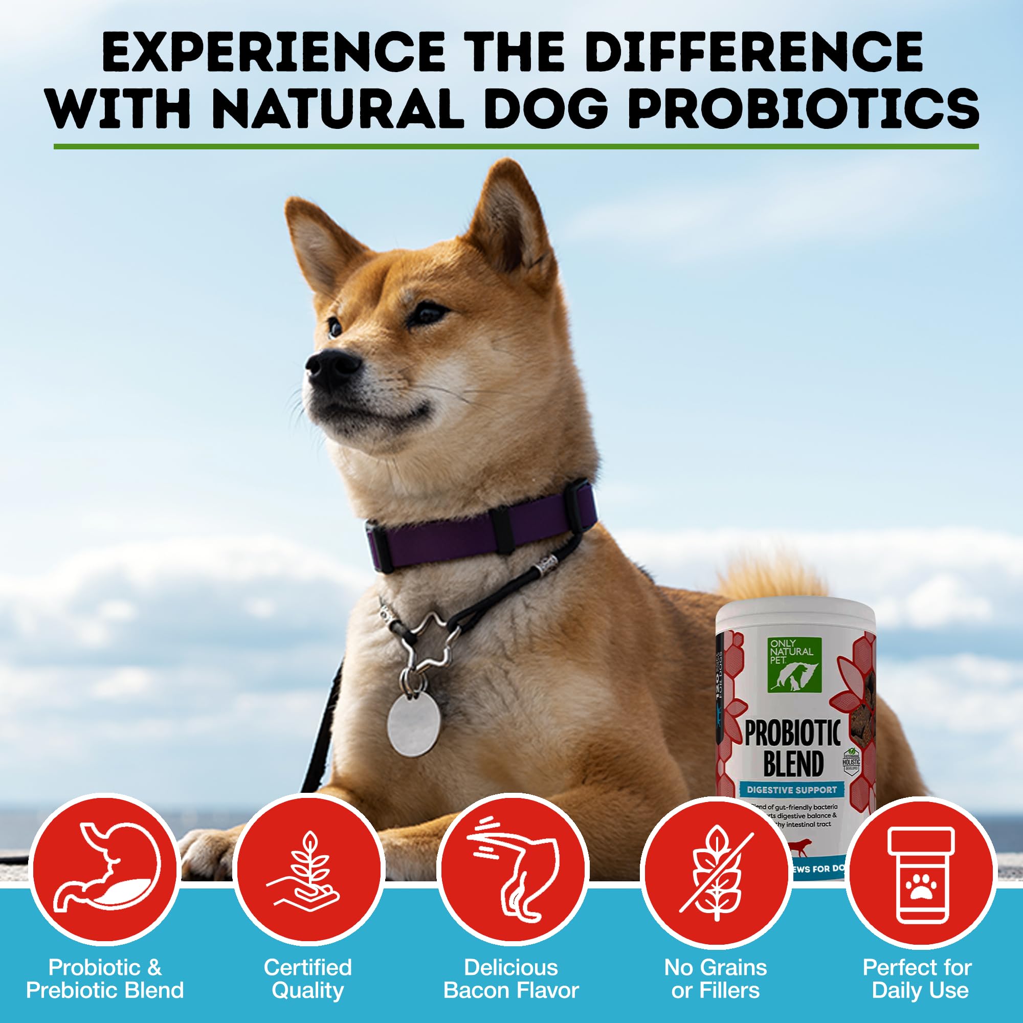 Only Natural Pet probiotic ingredients panel highlights FOS and probiotic strains for gut health.