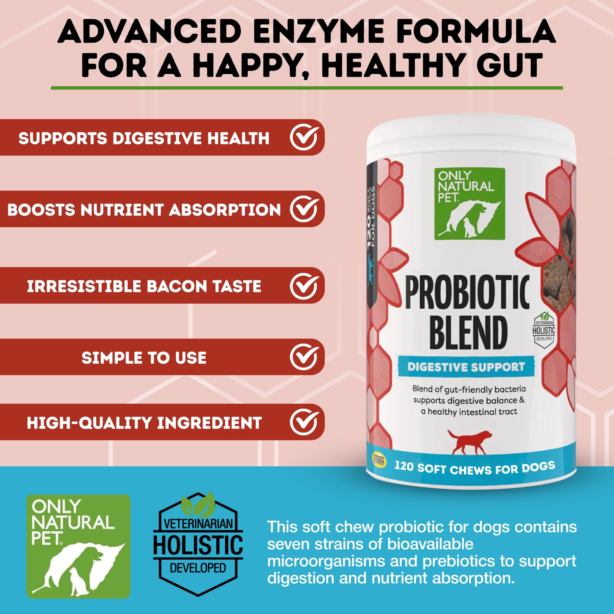 Only Natural Pet probiotic soft chews serving bowl demonstrates multi-strain gut support.