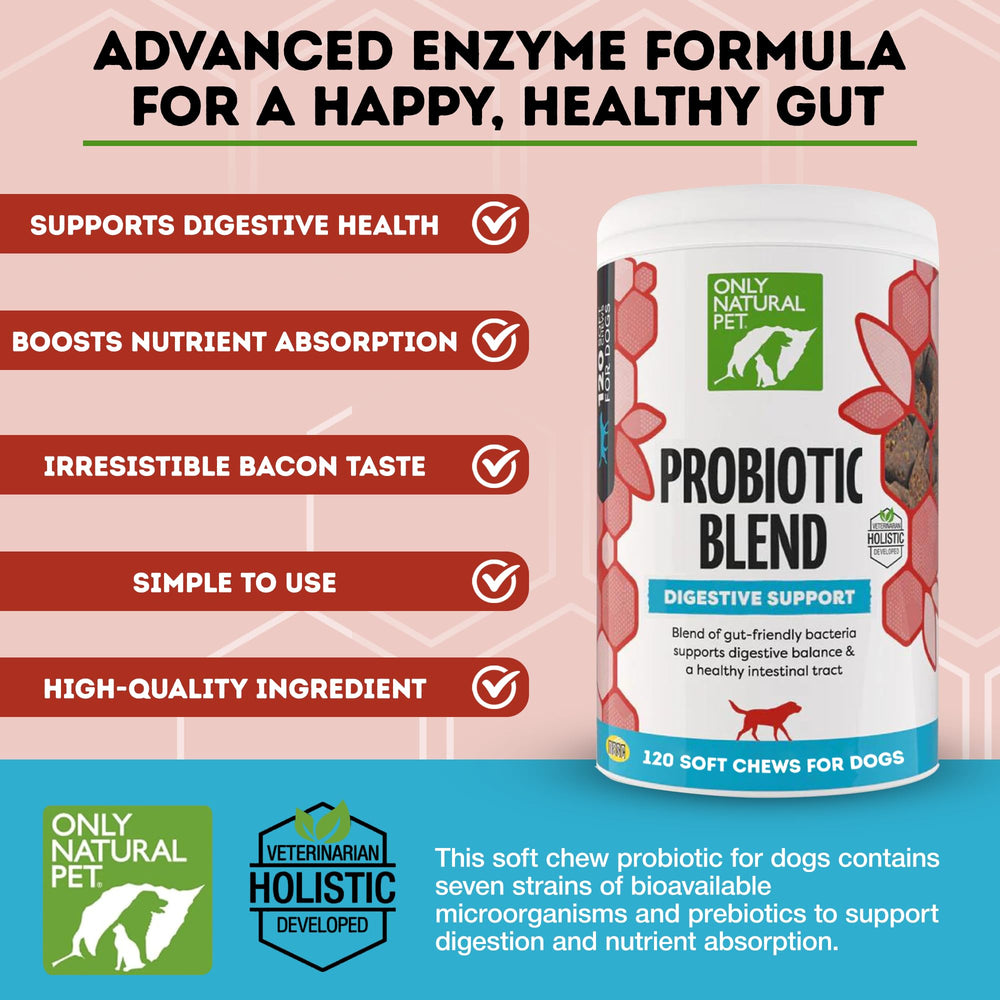 Only Natural Pet probiotic soft chews serving bowl demonstrates multi-strain gut support.