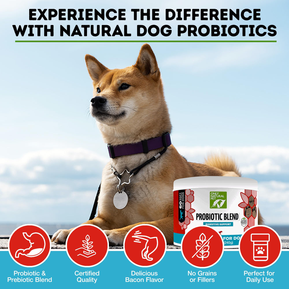 Botella de Only Natural Pet Probiótico, digestivo suave para gatos y perros.