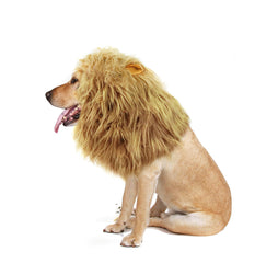 Onmygogo disfraz león perro talla L, ideal para Halloween y fiestas temáticas.
