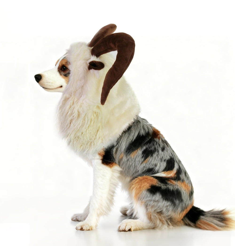 Onmygogo dog-costume-halloween-party showcases an eye-catching stage-ready look.