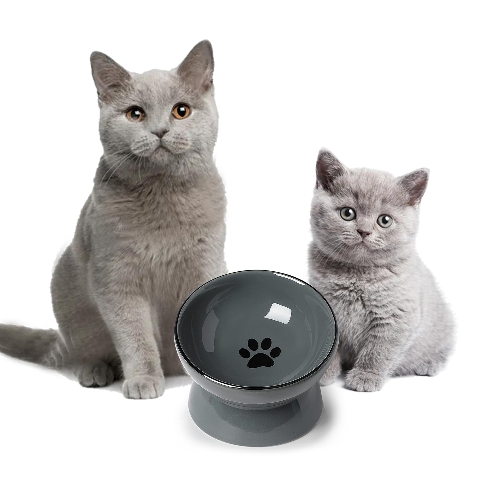 ONTUBE ceramic raised cat dishes bowl gray dining-setup shows easy hand-wash care