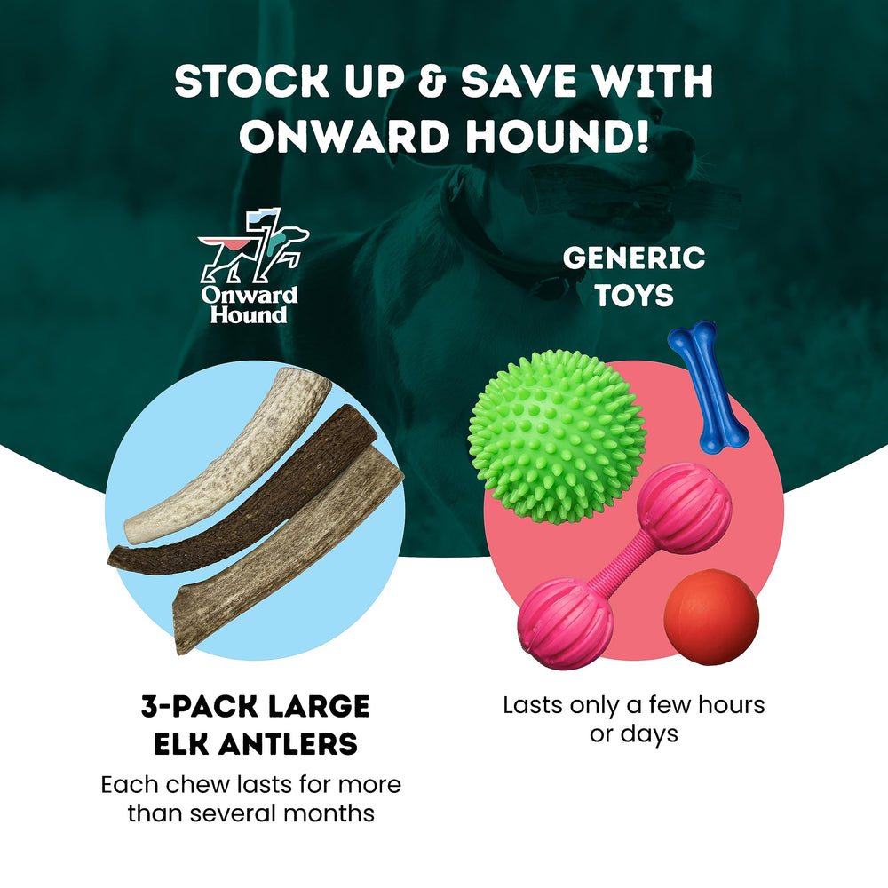 Onward Hound dental-focused elk antler supports gum massage and potential plaque reduction.