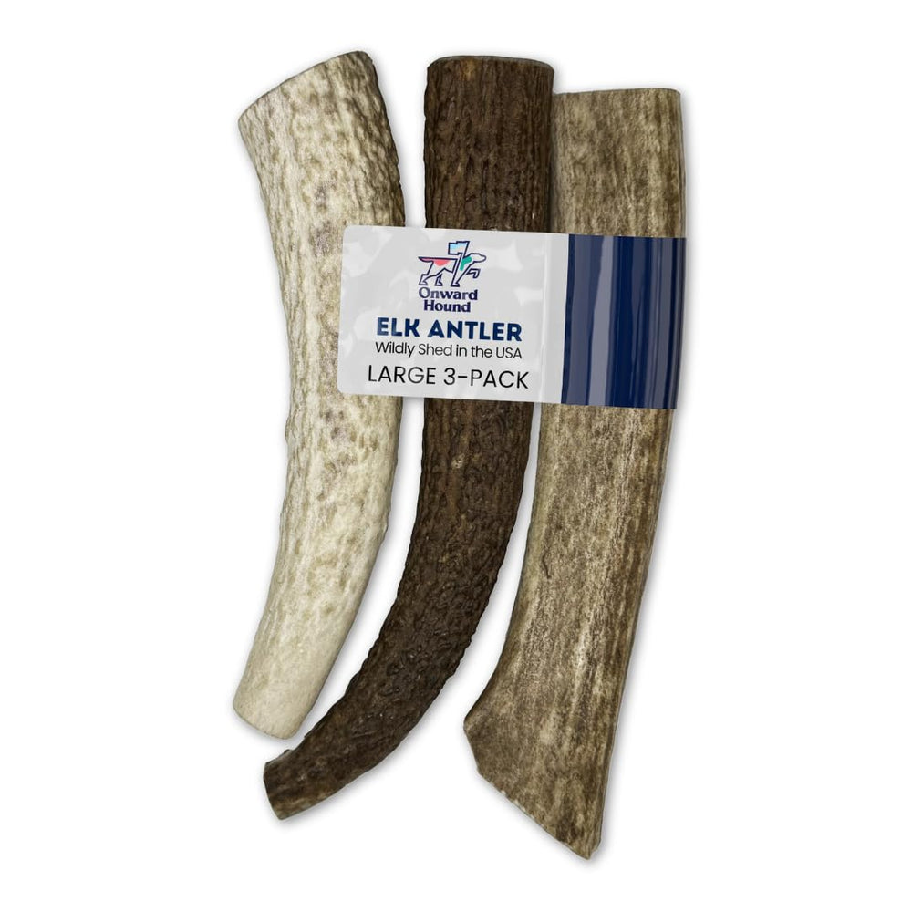 Onward Hound elk antlers dog chew 7inch pack delivers long-lasting enrichment for aggressive chewers.