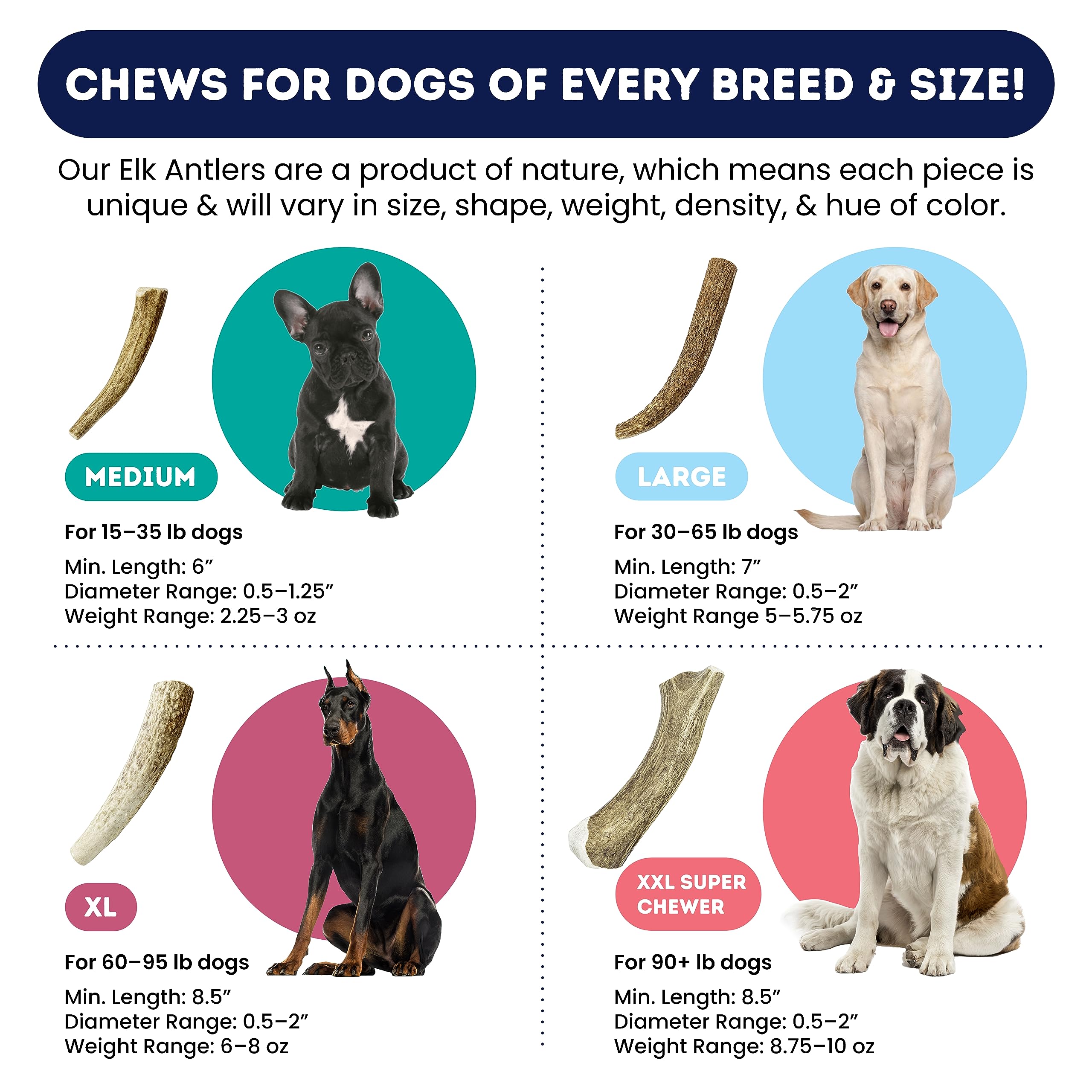 Onward Hound large dog chew 7inch demonstrates sturdy bite for 30–65 lb breeds.