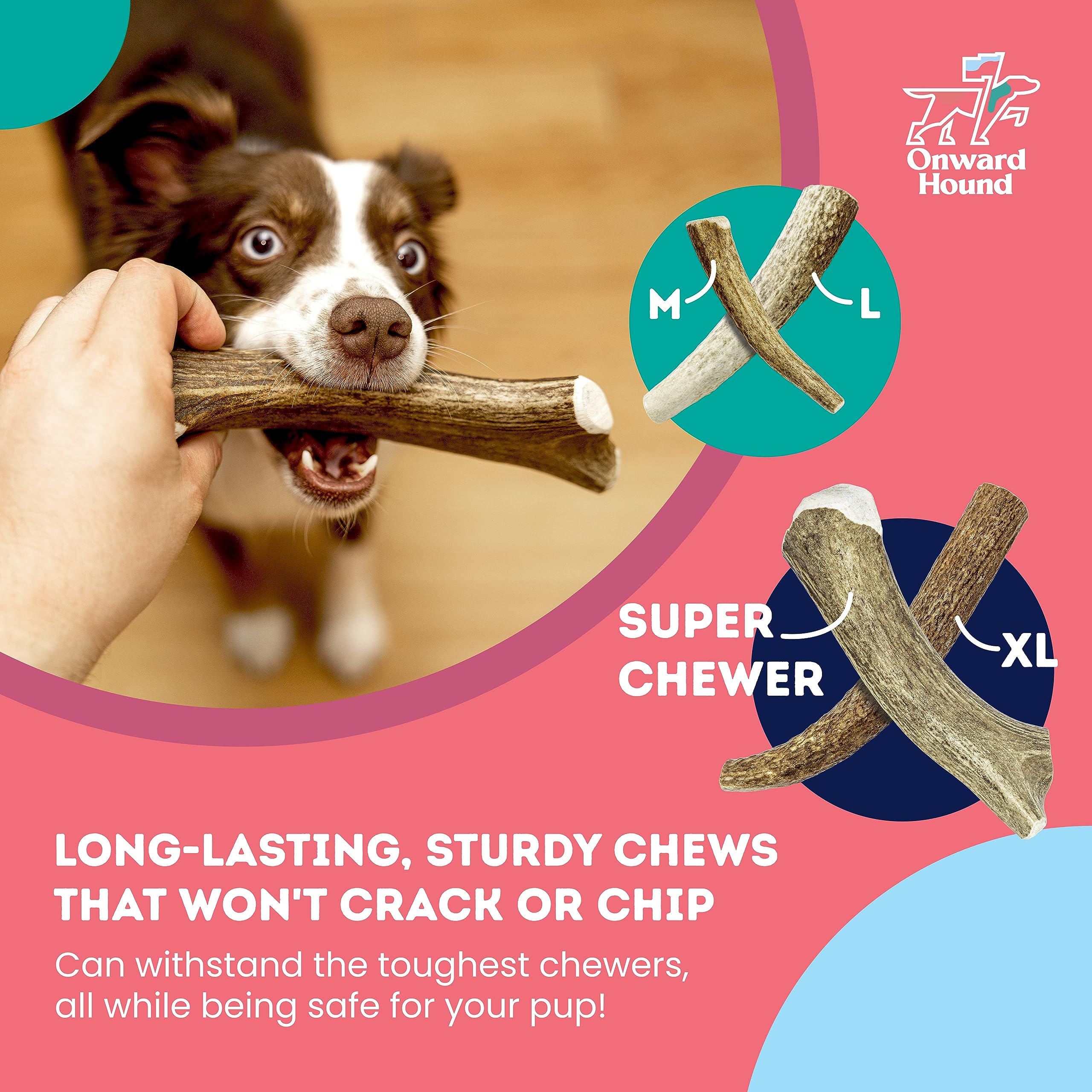 Onward Hound mineral-rich antler offers calcium and phosphorus for bones and joints.