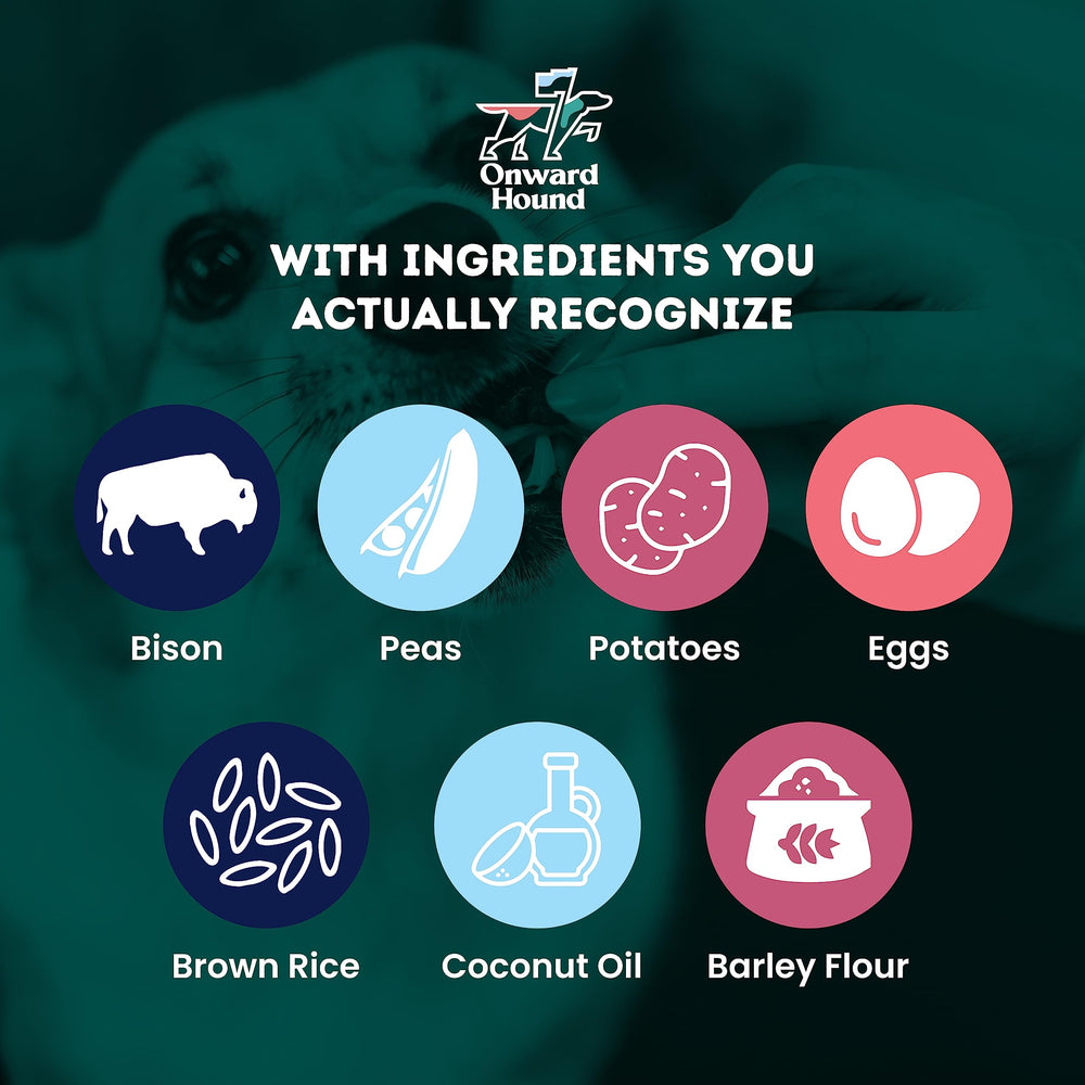 Onward Hound bison protein closeup, single-source protein supporting energy during workouts