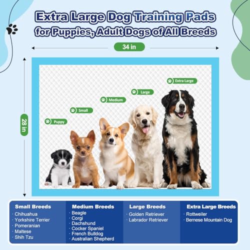 Oomicat Puppy Pads leak-proof design keeps floors dry during overnight use.