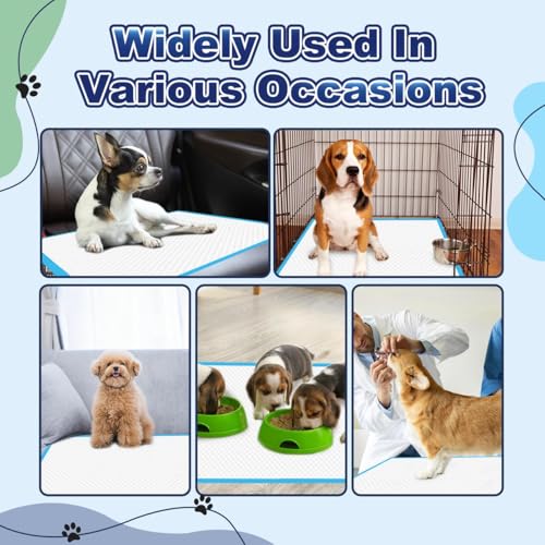 Oomicat Puppy Pads quick-dry action minimizes dampness on paws.