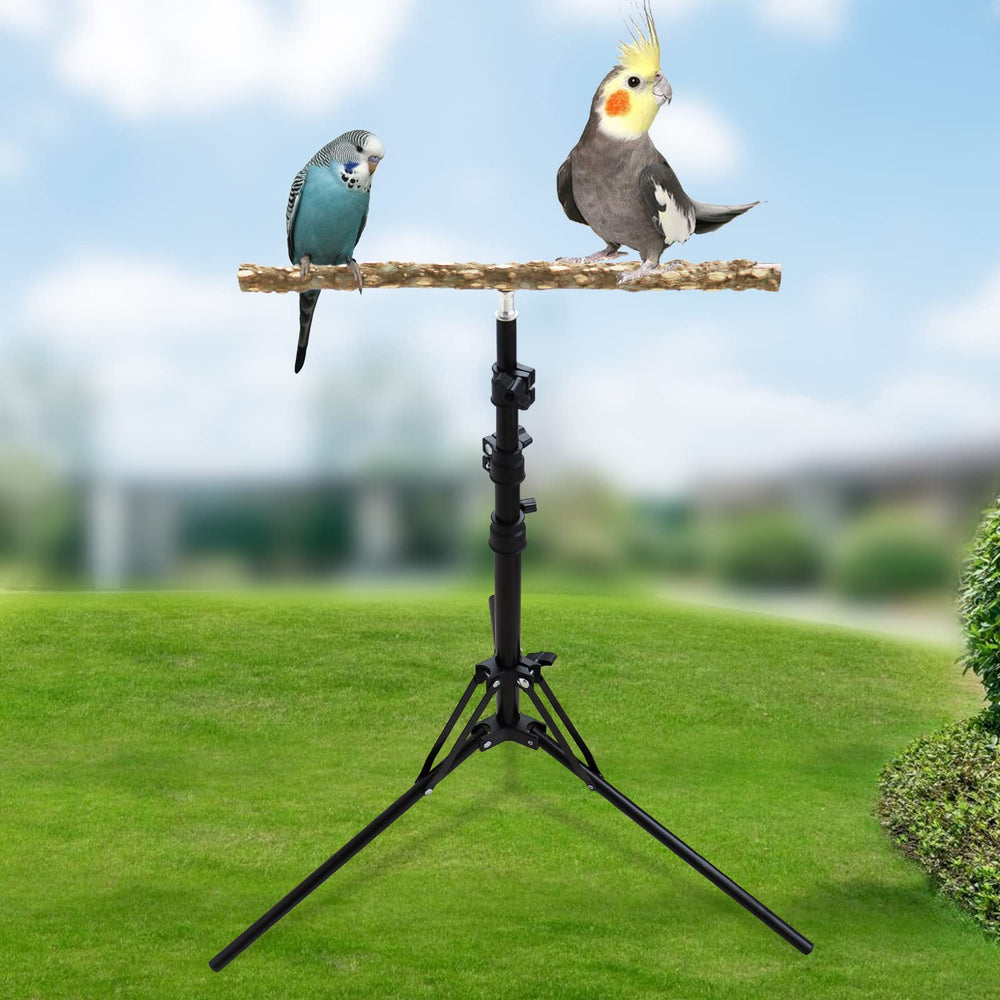 Oooct training perch supporting flight practice for small parrots.