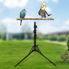 Oooct training perch supporting flight practice for small parrots.