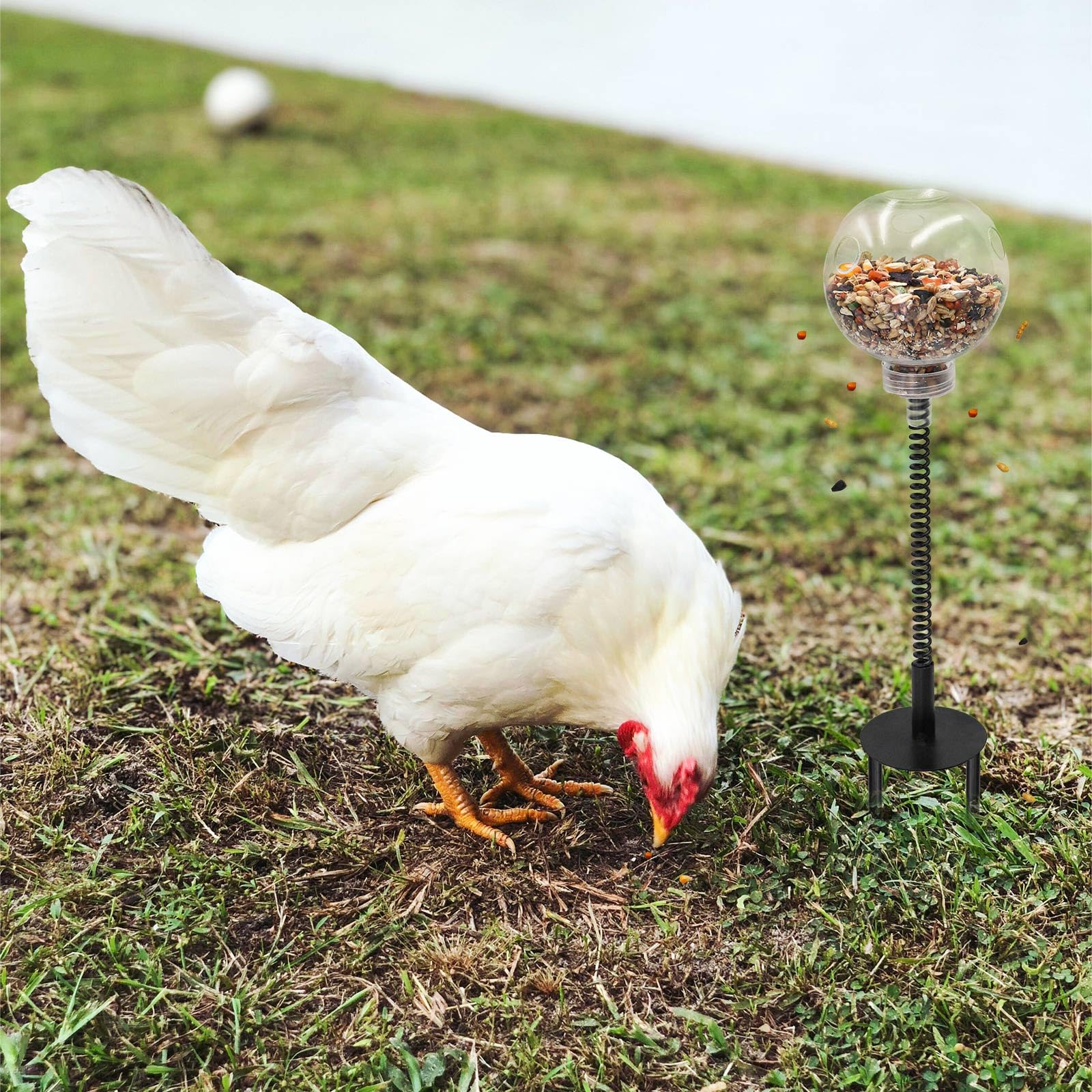 Oooct chicken peck toy ground plug keeps the setup secure in coop