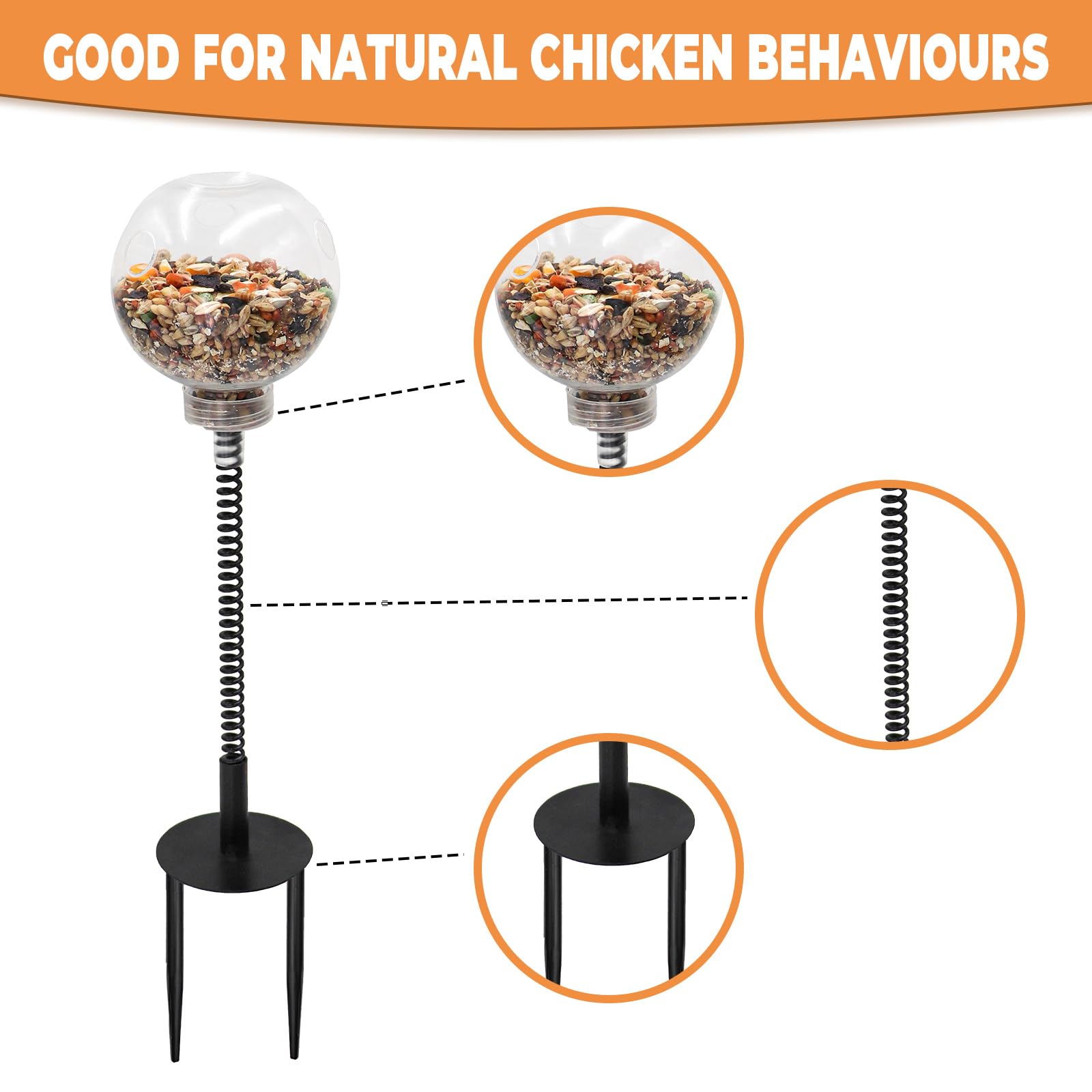 Oooct chicken peck toy in-action shows durable enrichment during daily use