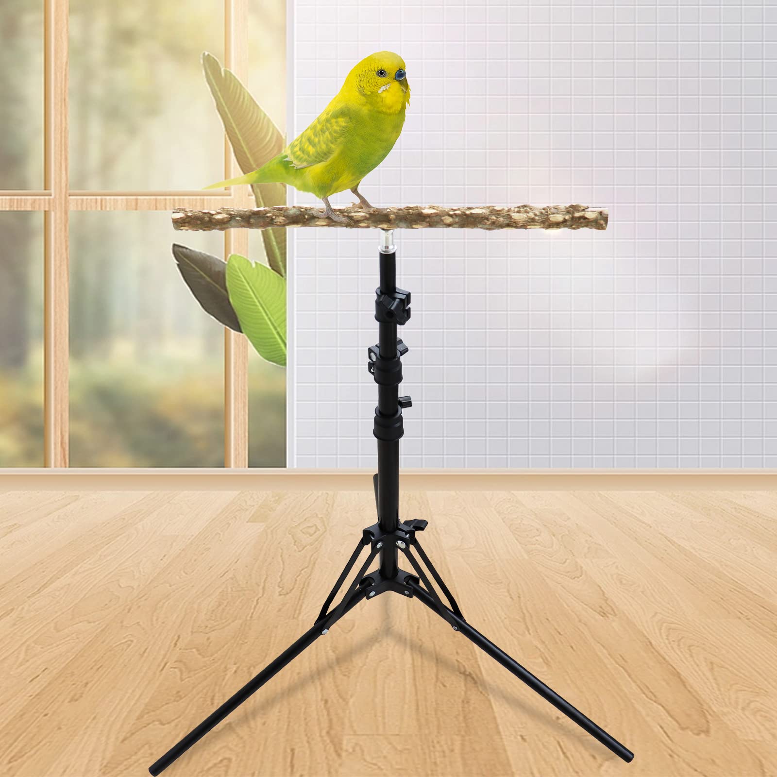 Oooct pepper wood perch texture highlighting grip for birds.