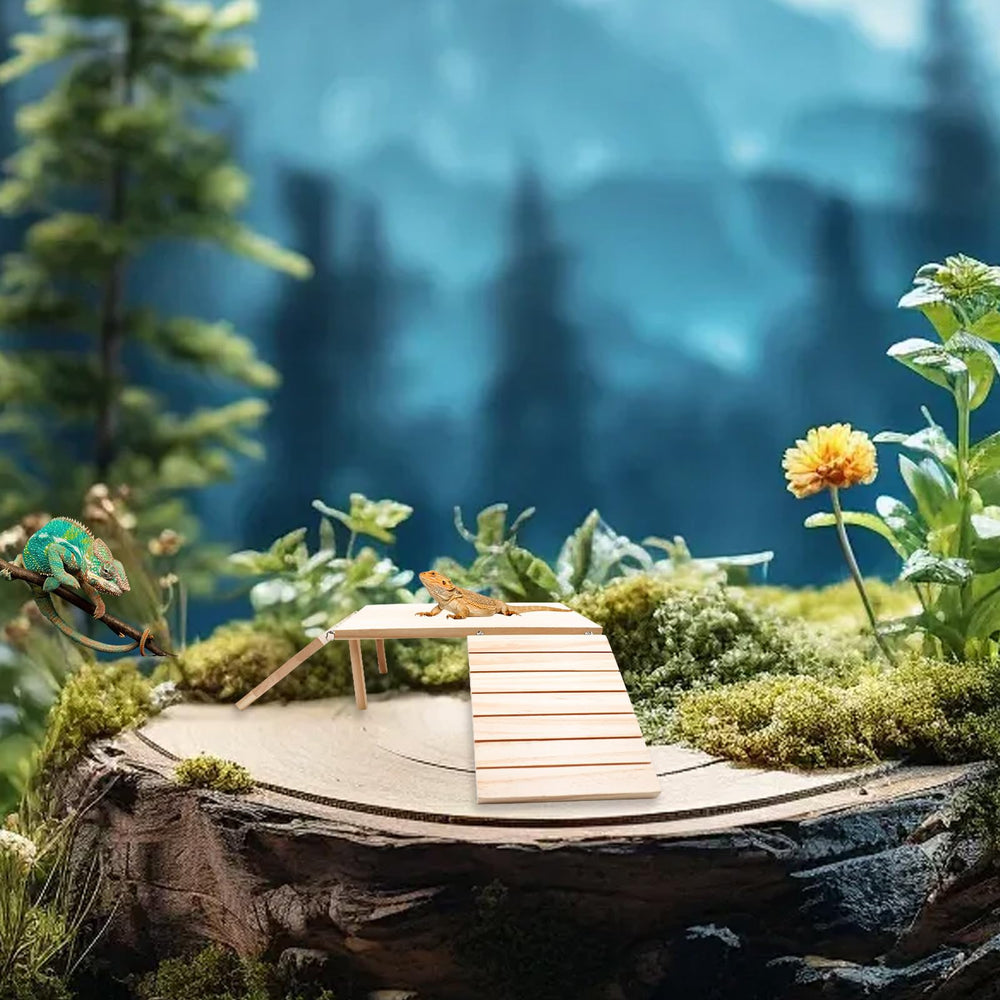 Oooct reptile cave hideout provides shelter while climbing and exploring.