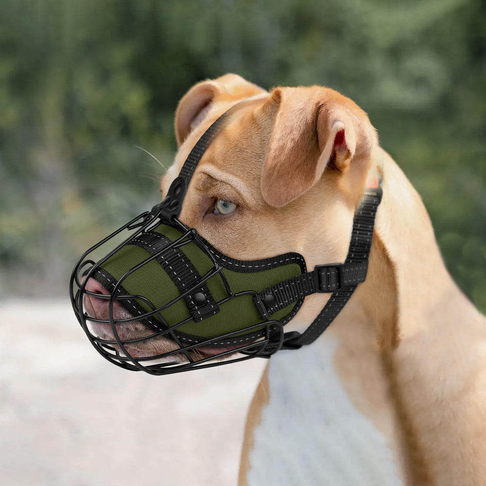 OOPSDOGGY training muzzle for gradual introduction during conditioning
