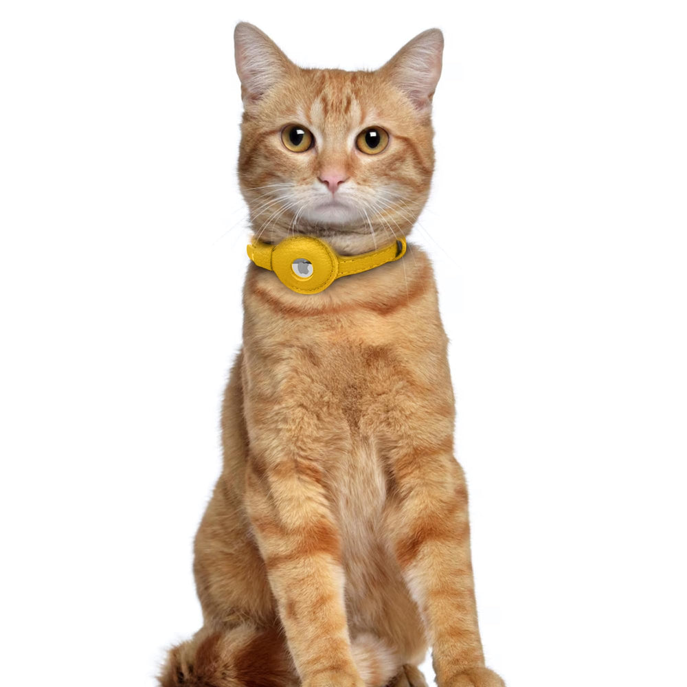 OOPSDOGGY hypoallergenic leather strap blends style with safety for pets