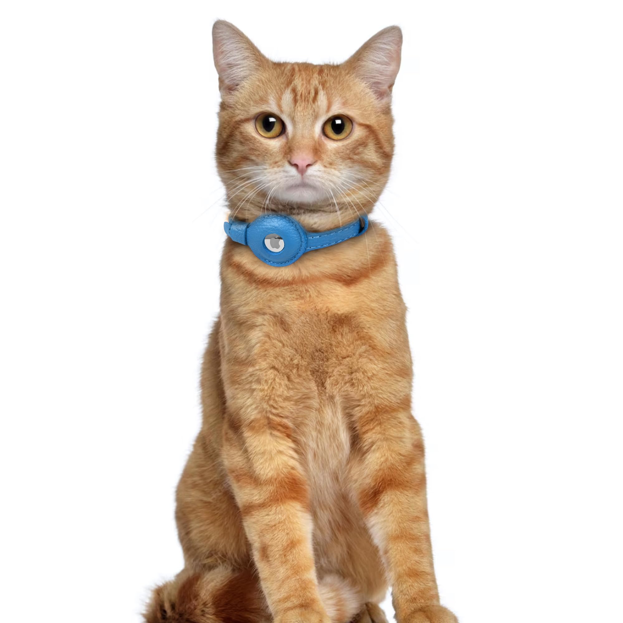 OOPSDOGGY Leather AirTag Cat Collar blue lightweight design minimizes distraction during play