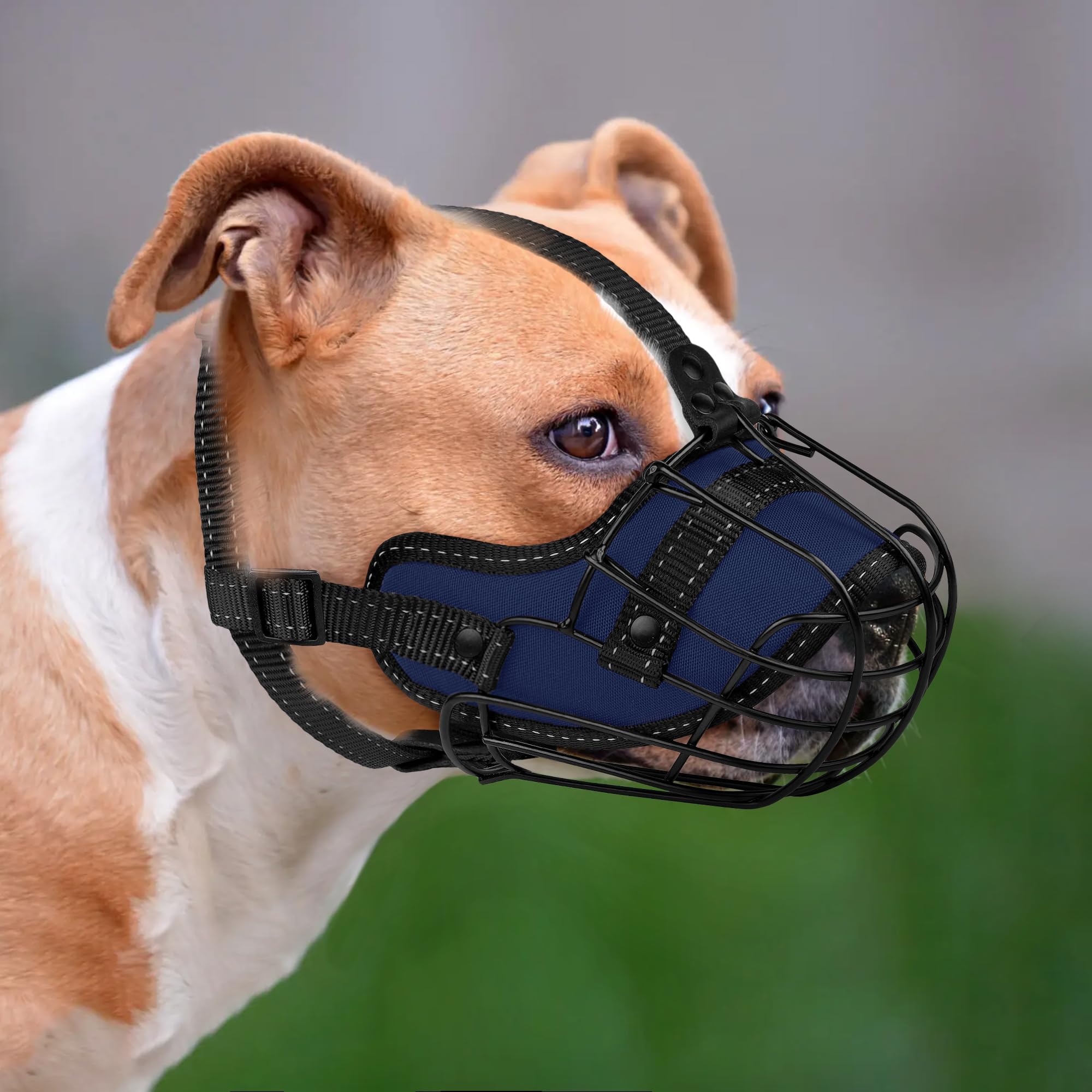 OOPSDOGGY Pitbull muzzle enhances evening-walk safety with reflective straps