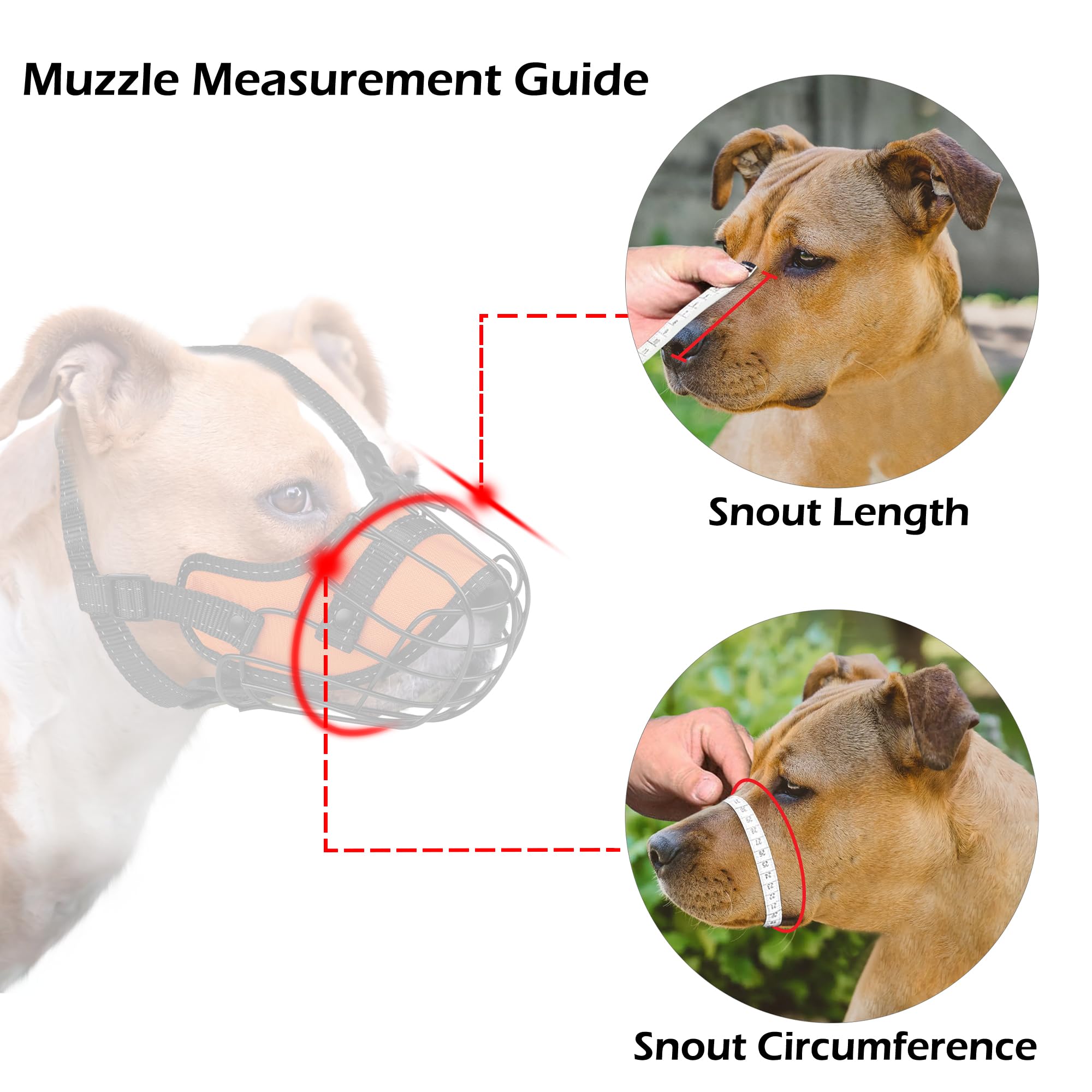 OOPSDOGGY Pitbull muzzle allows drinking while wearing for short outdoor sessions