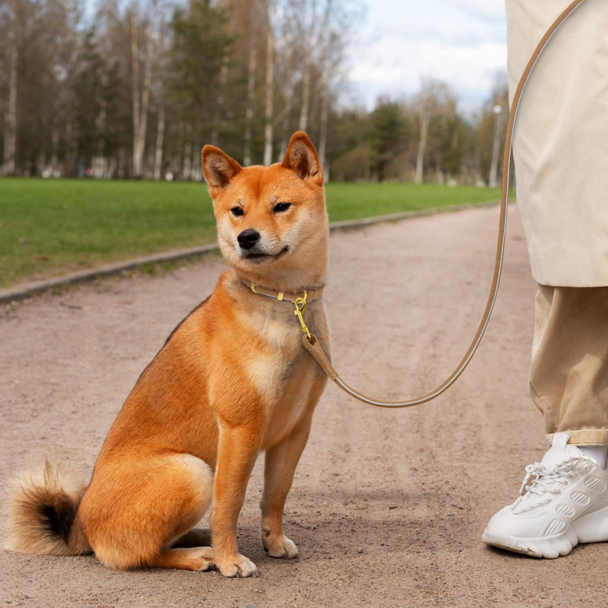 OOPSDOGGY reflective rolled leather leash pink provides comfortable handling for small dogs during play