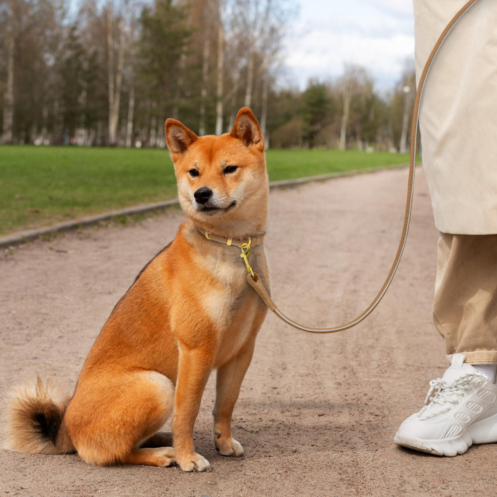 OOPSDOGGY reflective rolled leather leash pink provides comfortable handling for small dogs during play