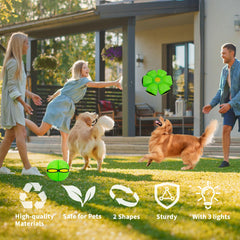 OOXYG Magic Bouncing Ball bright colors attract pets for lively play.