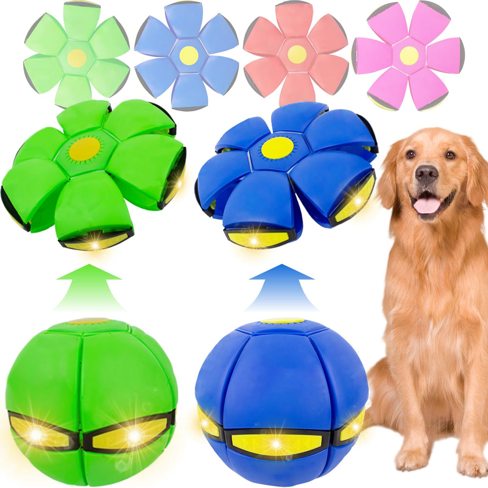 OOXYG Magic Bouncing Ball dog disc play mode promotes active exercise.