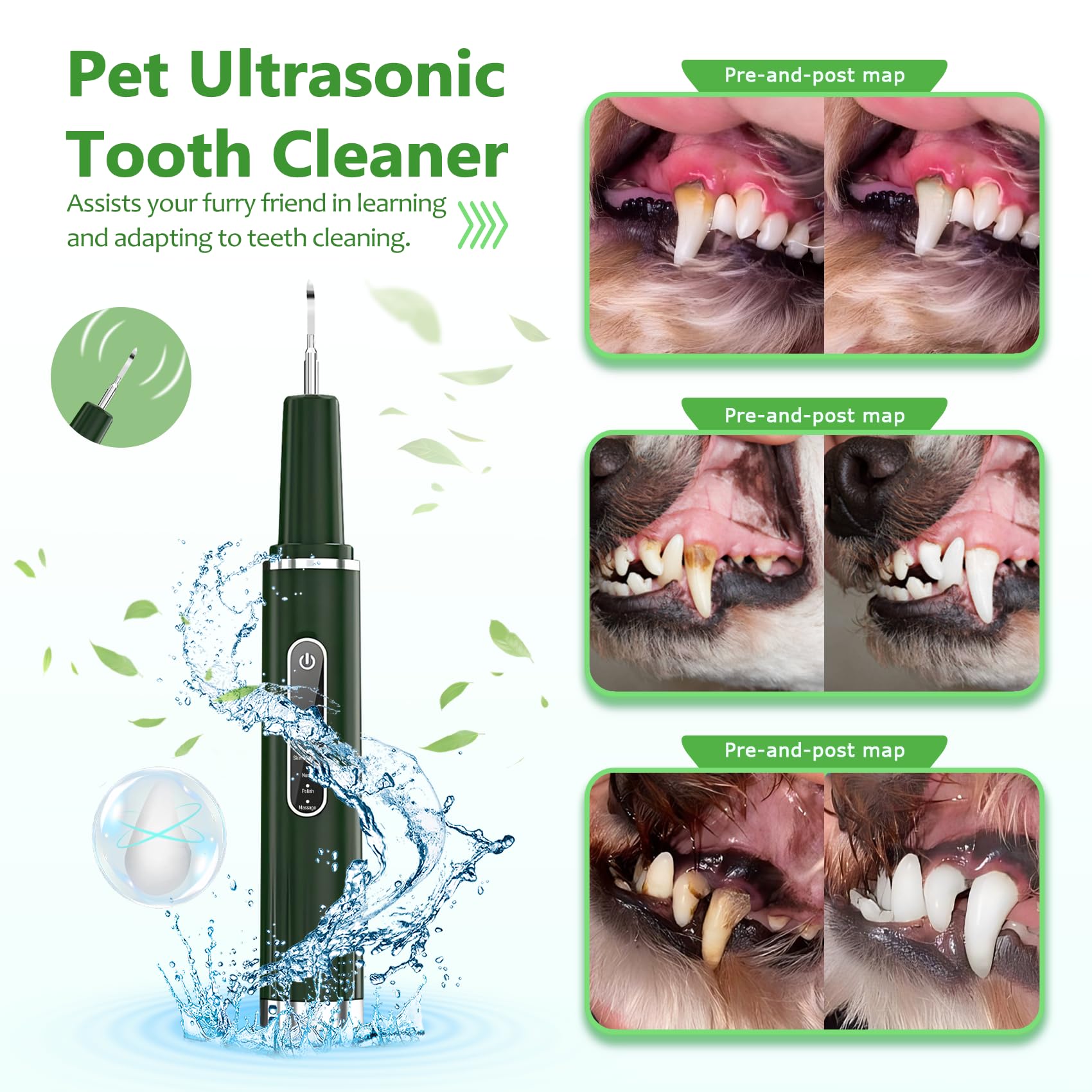 Opdent LED light view on pet teeth aids clear inspection.