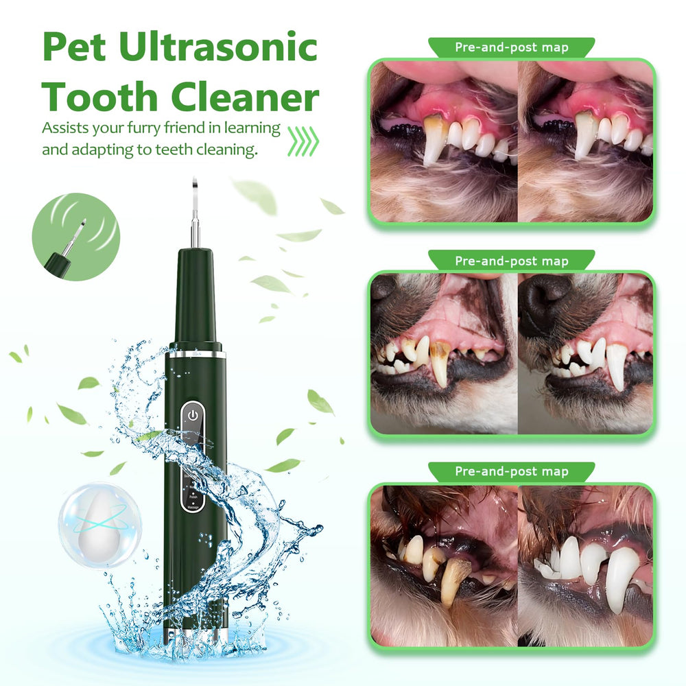 Opdent LED light view on pet teeth aids clear inspection.