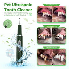 Opdent LED light view on pet teeth aids clear inspection.