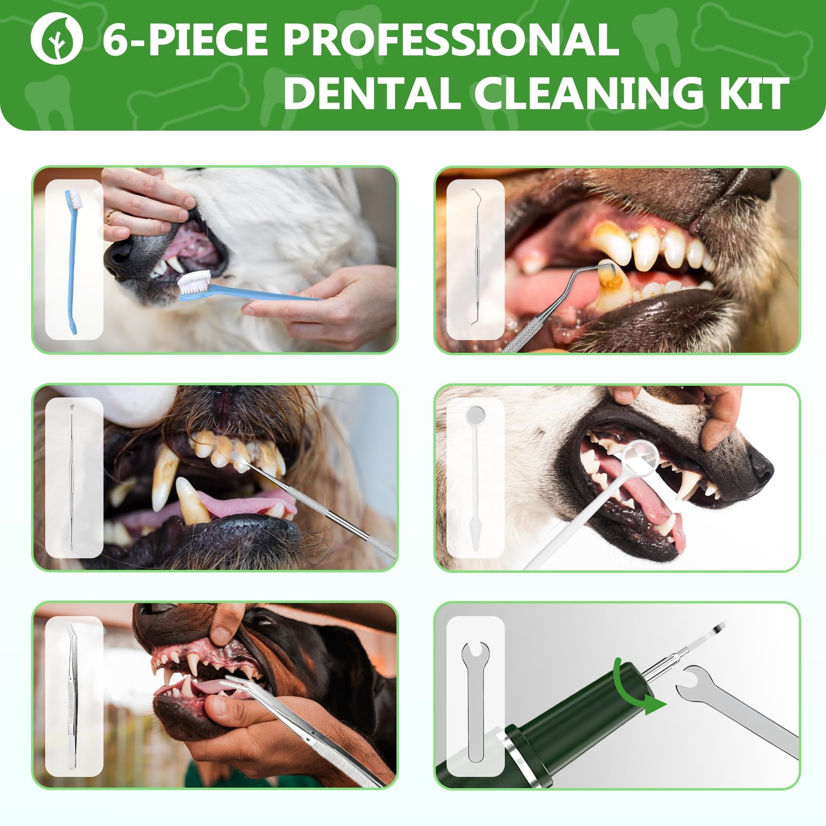 Opdent USB charging port with waterproof design supports cordless sessions.