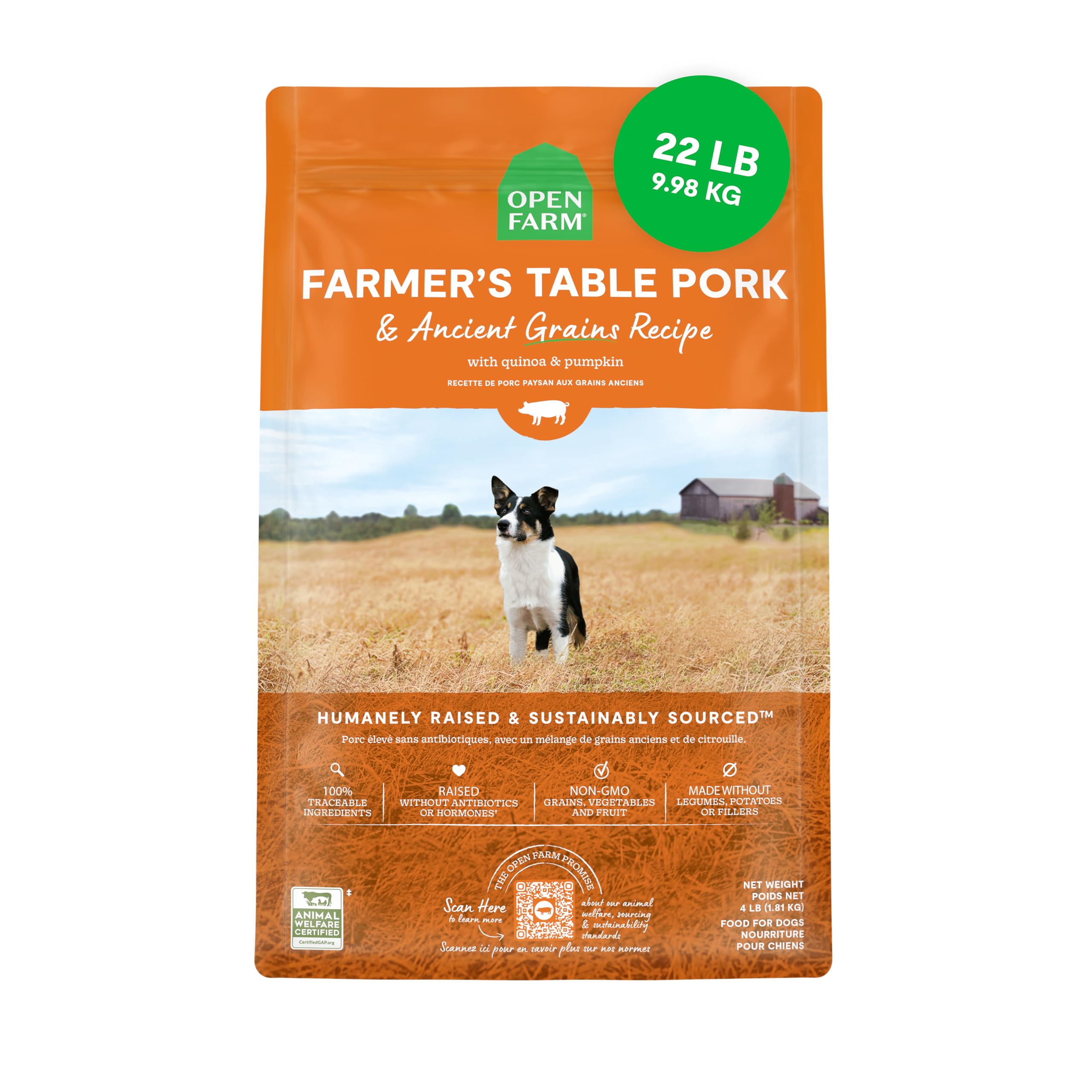 Open Farm Ancient Grains dry dog food kibble closeup highlights protein-rich recipe and natural texture.