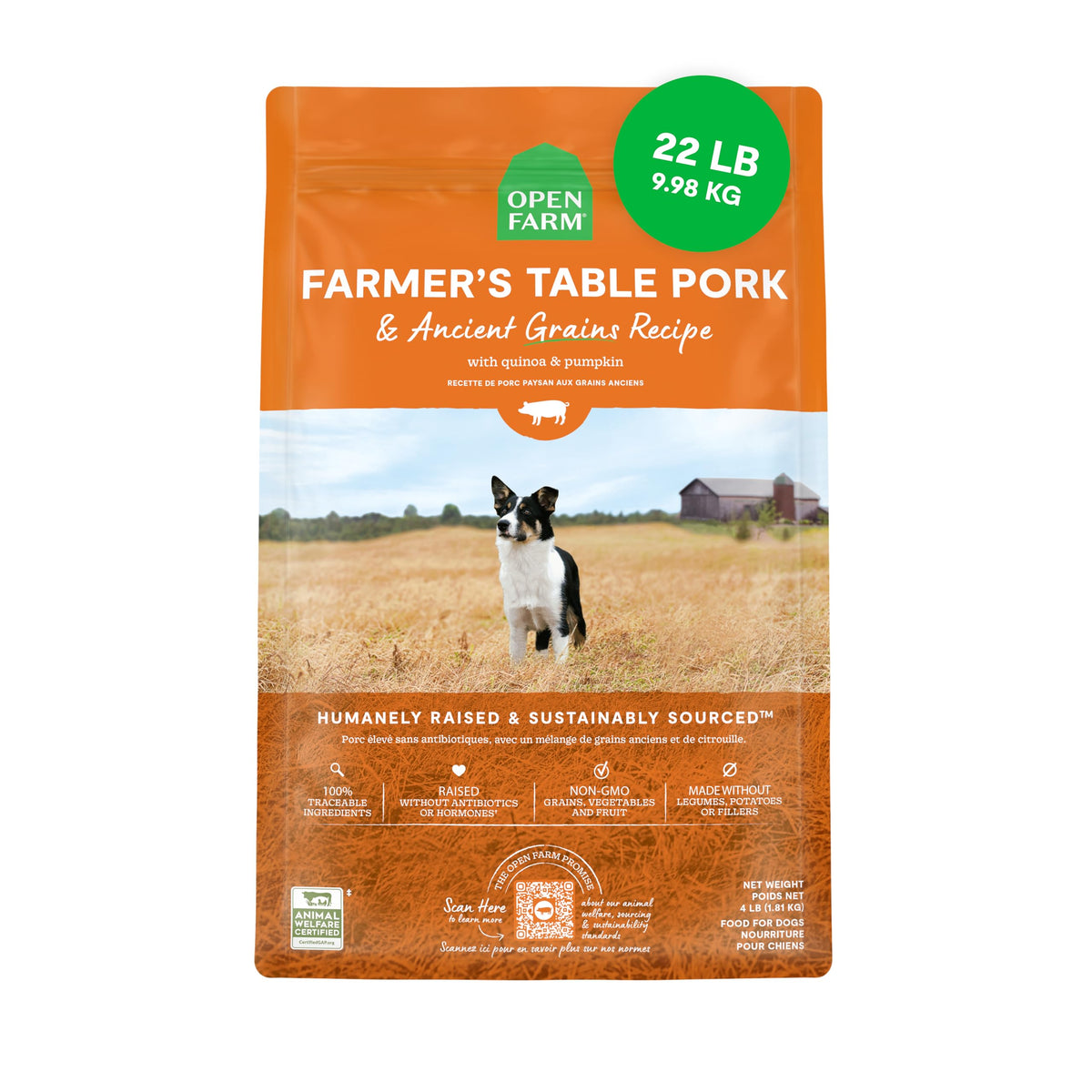 Open Farm Ancient Grains dry dog food kibble closeup highlights protein-rich recipe and natural texture.