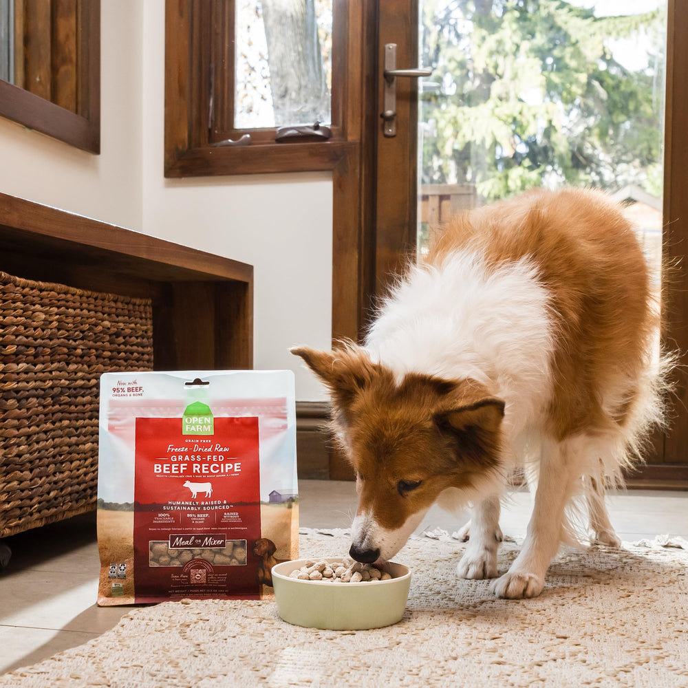 Open Farm bite-sized morsels support portion control for dogs.