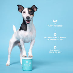 Open Farm label highlights traceable, vet-approved ingredients for informed pet wellness.