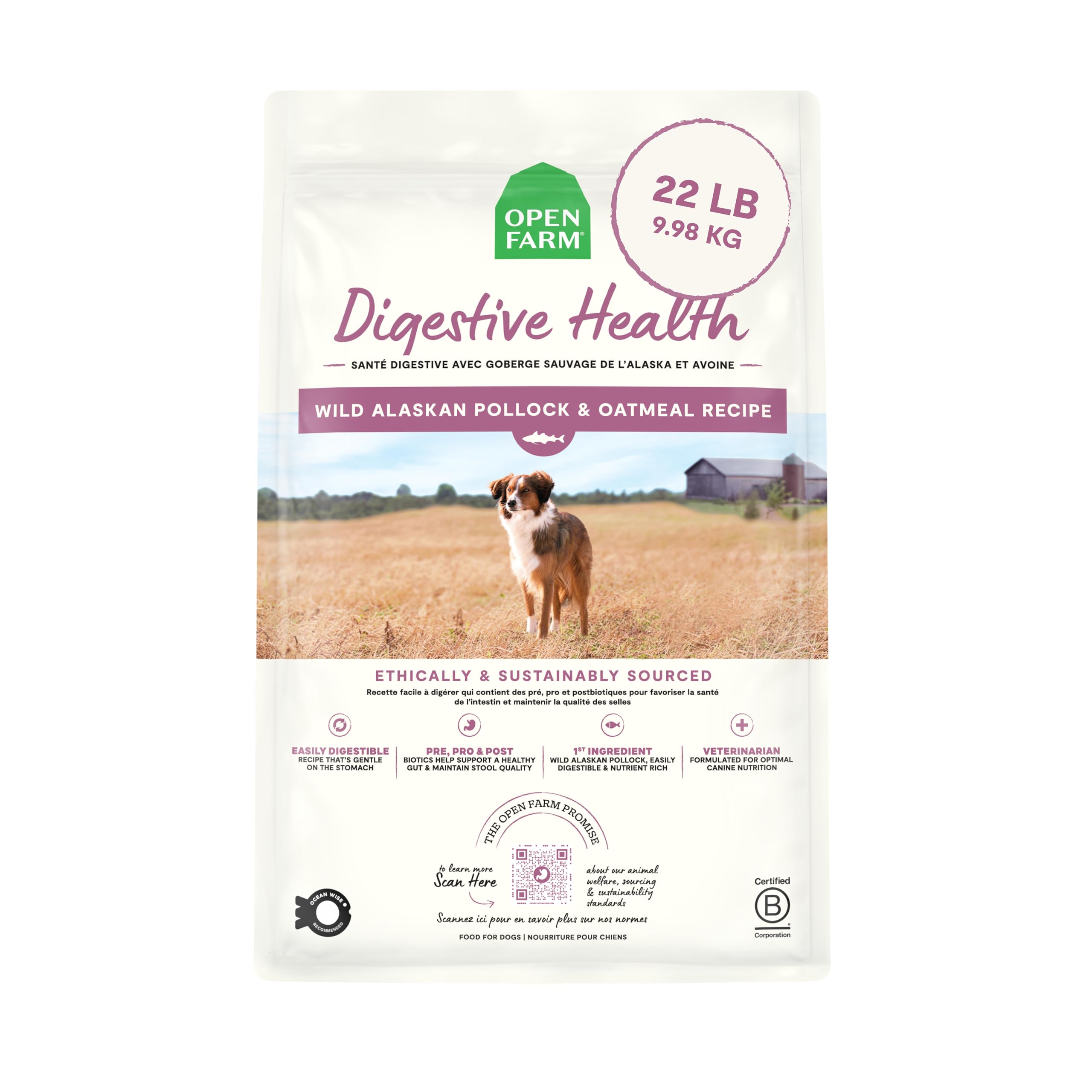 Open Farm Digestive Health dry dog food bowl image shows gentle digestion support in daily feeding.