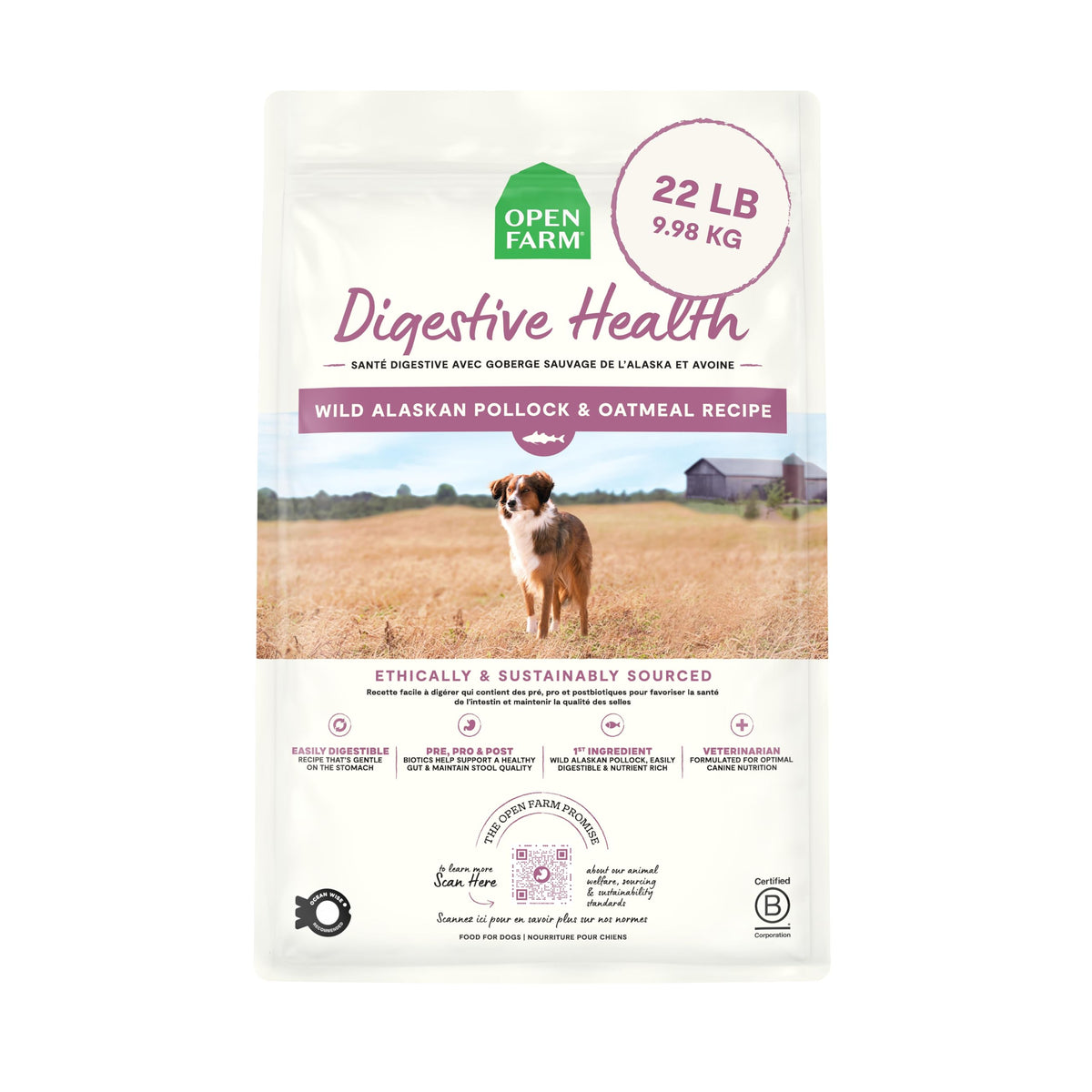 Open Farm Digestive Health dry dog food bowl image shows gentle digestion support in daily feeding.