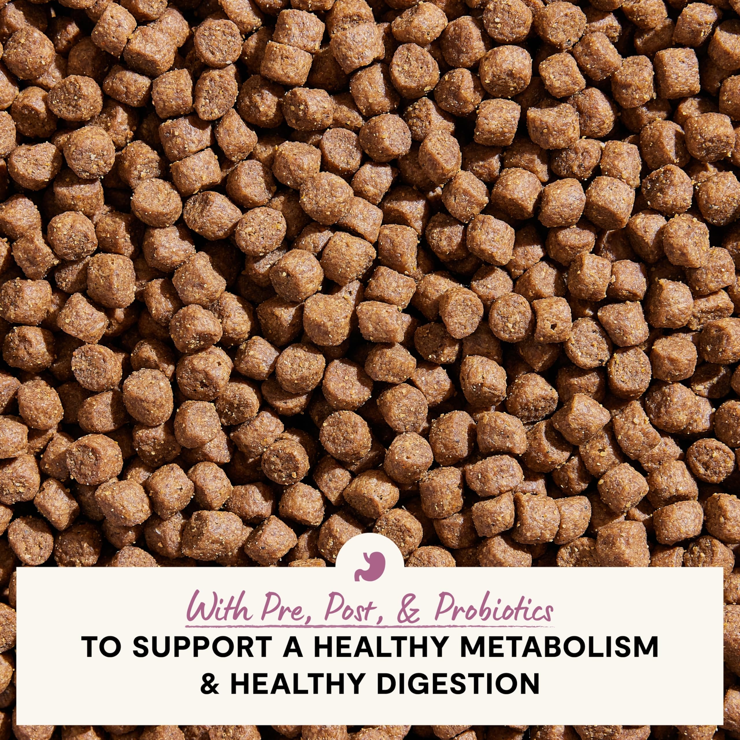 Open Farm veterinarian-formulated formula suggests reliable nutrition for dogs with sensitive digestion.