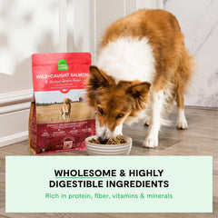 Open Farm dog kibble close-up highlights grain-inclusive texture