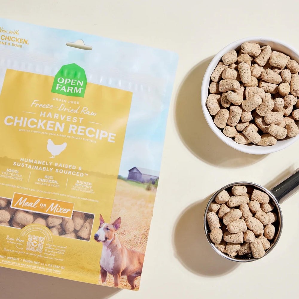 Open Farm superfoods image suggesting daily canine wellness support.