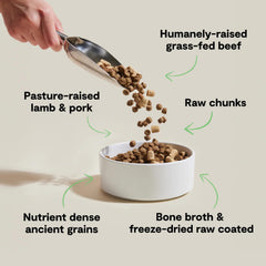Open Farm Front Range Recipe with ancient grains in a bag supports balanced nutrition.