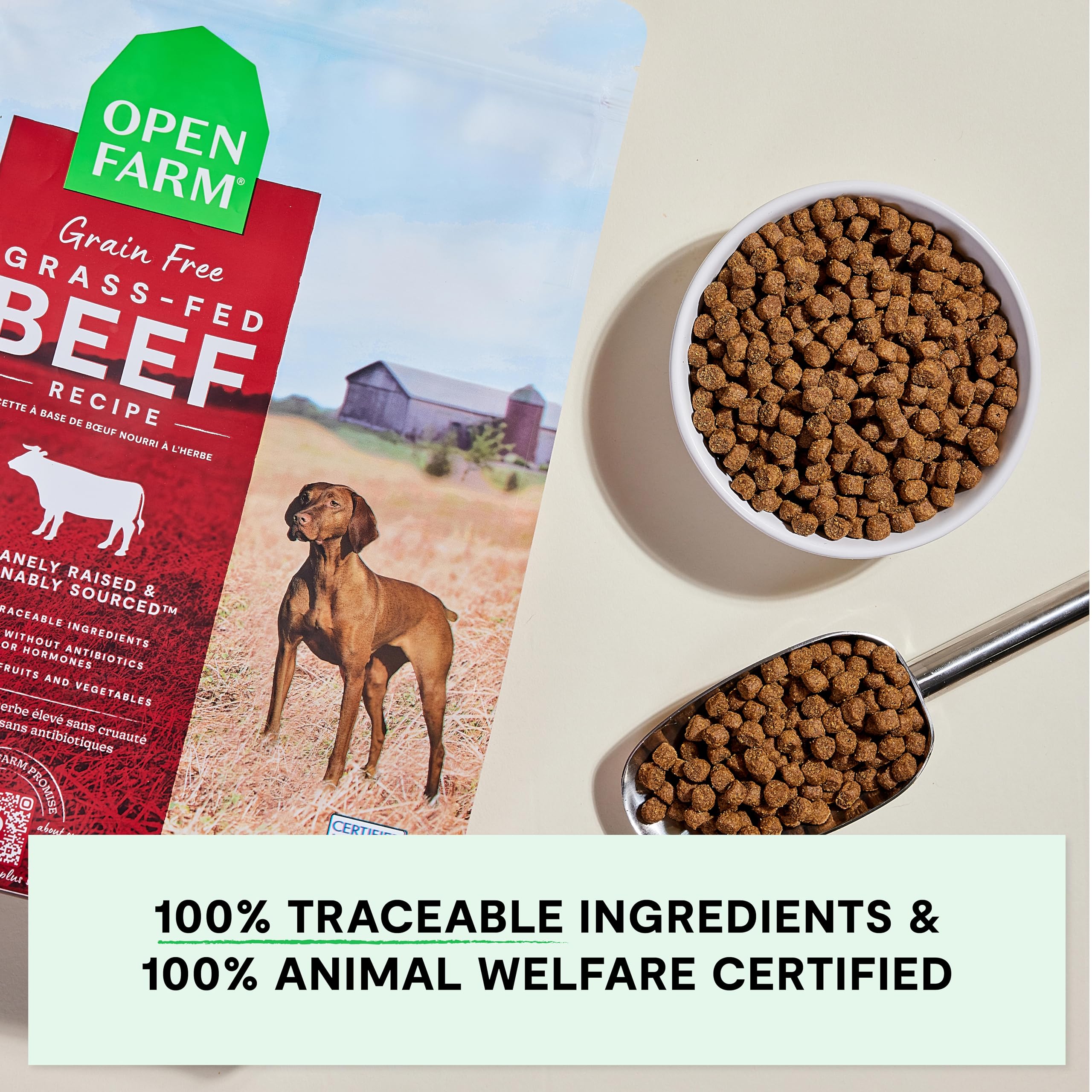 Open Farm grain-free dry dog food non-GMO produce featuring pumpkin and coconut oil