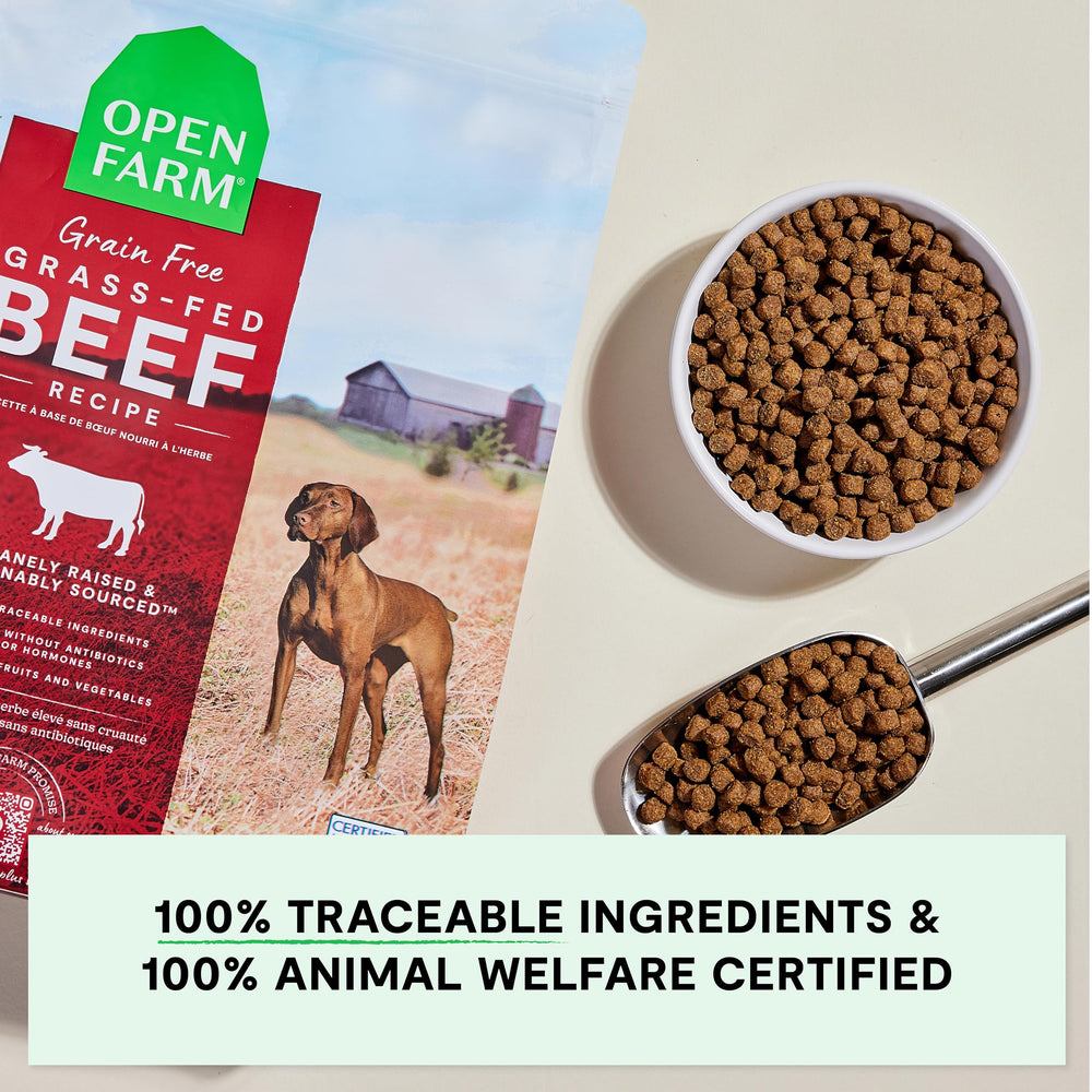 Open Farm grain-free dry dog food non-GMO produce featuring pumpkin and coconut oil