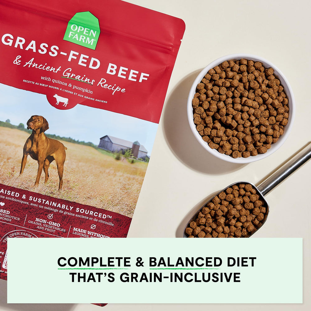 Open Farm Grass-Fed Beef Recipe dry dog food label highlights high-quality protein for strong muscles.