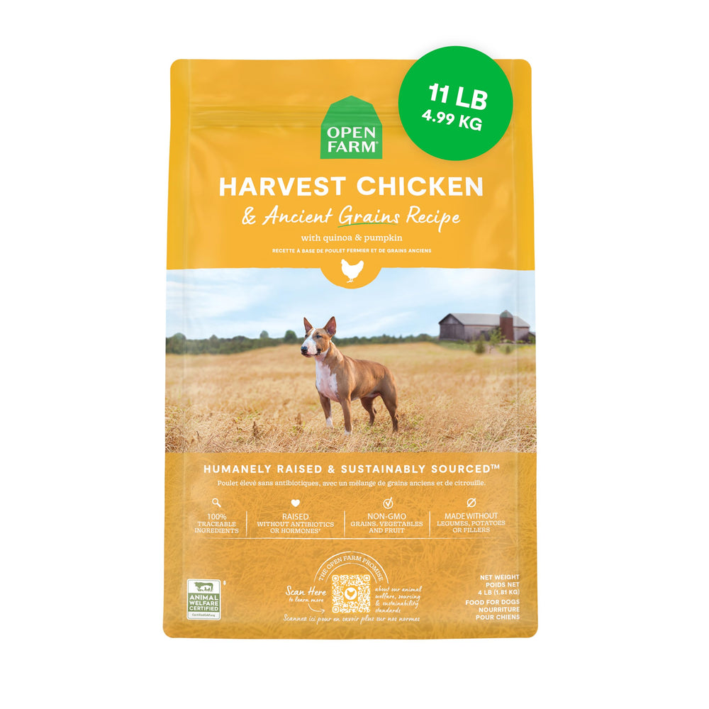 Open Farm Harvest Chicken kibble in a bowl shows protein-rich nutrition