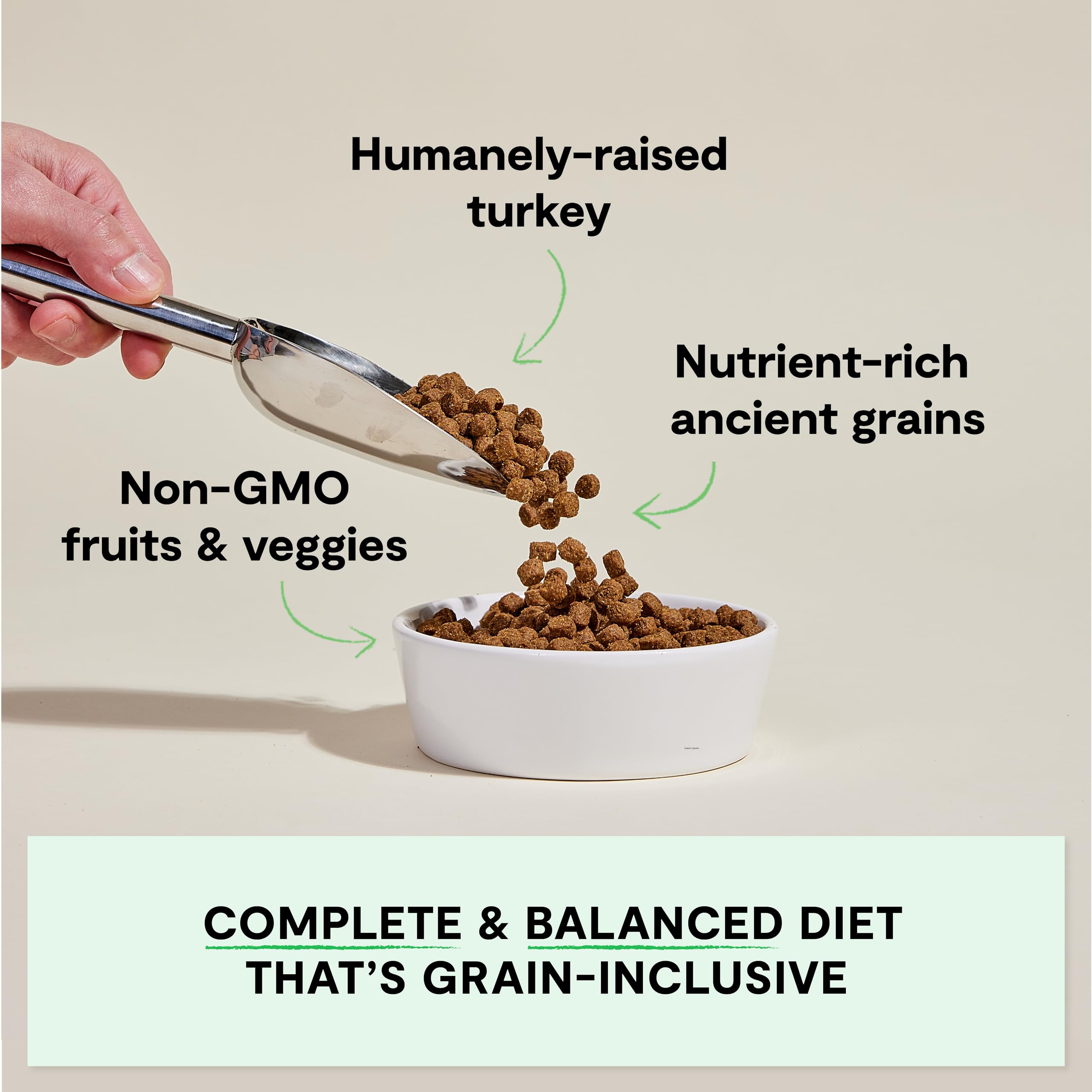 Open Farm Homestead Turkey Recipe bowl ready for mealtime with savory, protein-forward nutrition.