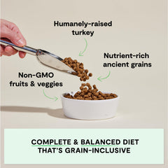 Open Farm Homestead Turkey Recipe bowl ready for mealtime with savory, protein-forward nutrition.