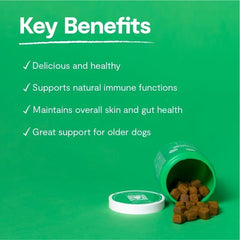 Open Farm Immune Chews dog enjoying treat demonstrating palatable daily use.